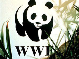 How the World Wildlife Fund logo was designed.